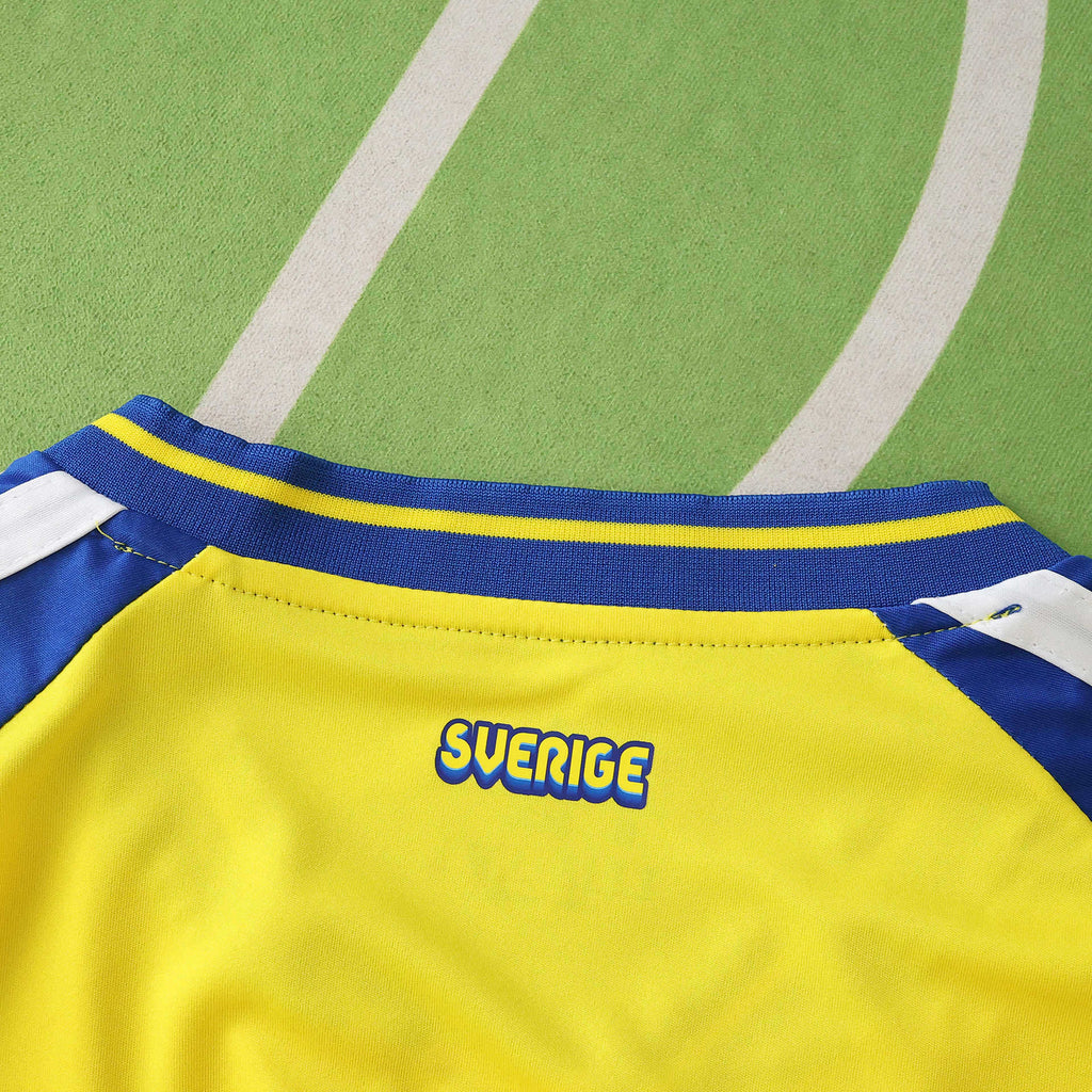 2026 FIFA World Cup Sweden home
