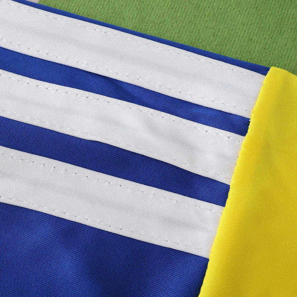 2026 FIFA World Cup Sweden home