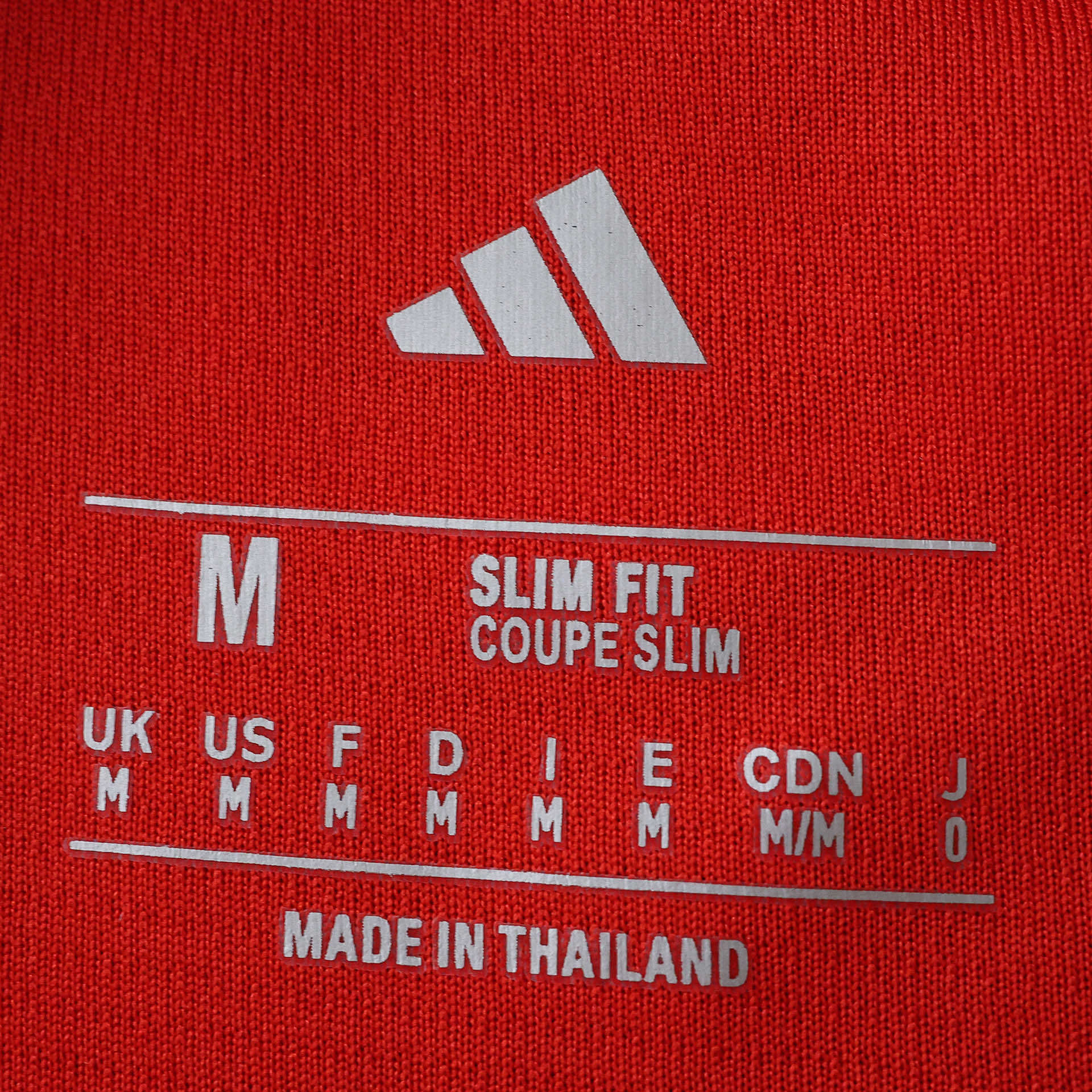 2026 FIFA World Cup Wales home