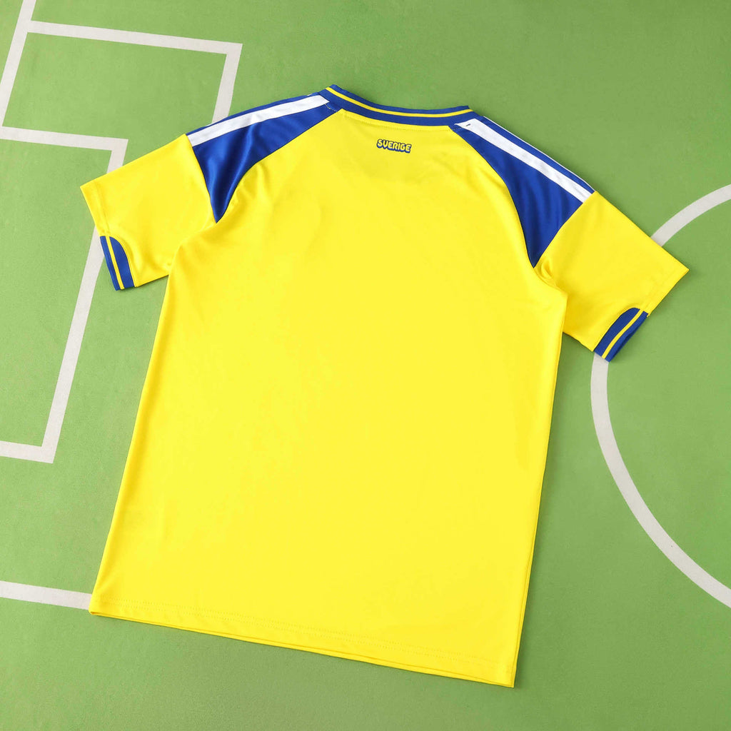 2026 FIFA World Cup Sweden home