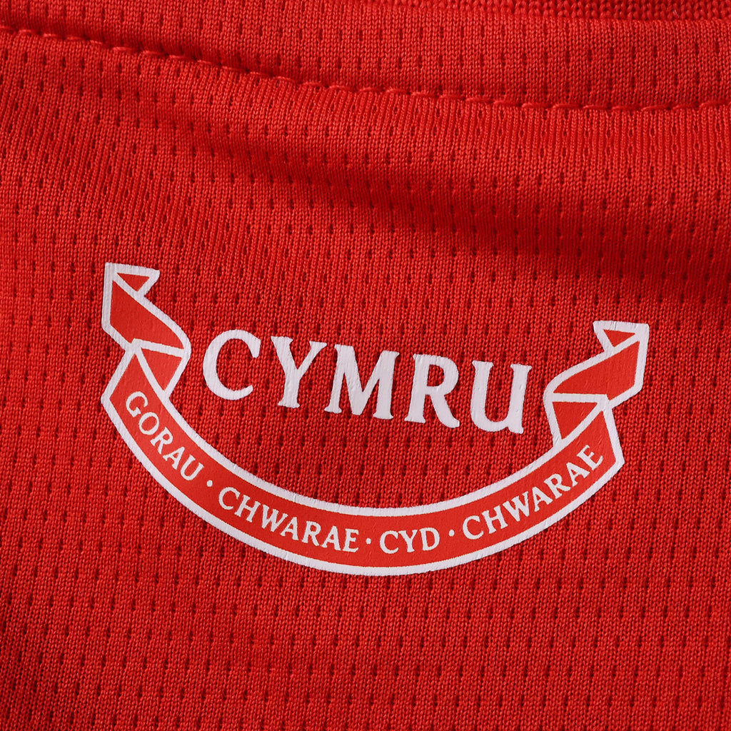 2026 FIFA World Cup Wales home