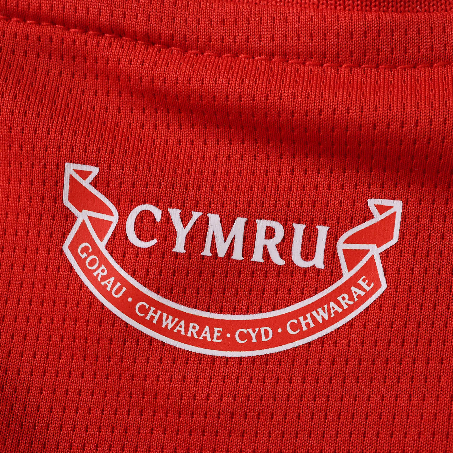 2026 FIFA World Cup Wales home