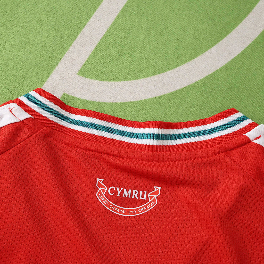 2026 FIFA World Cup Wales home