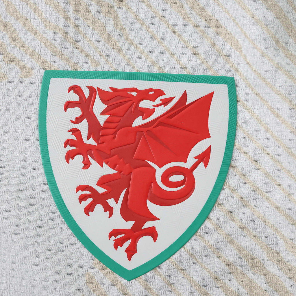 2026 FIFA World Cup Wales away