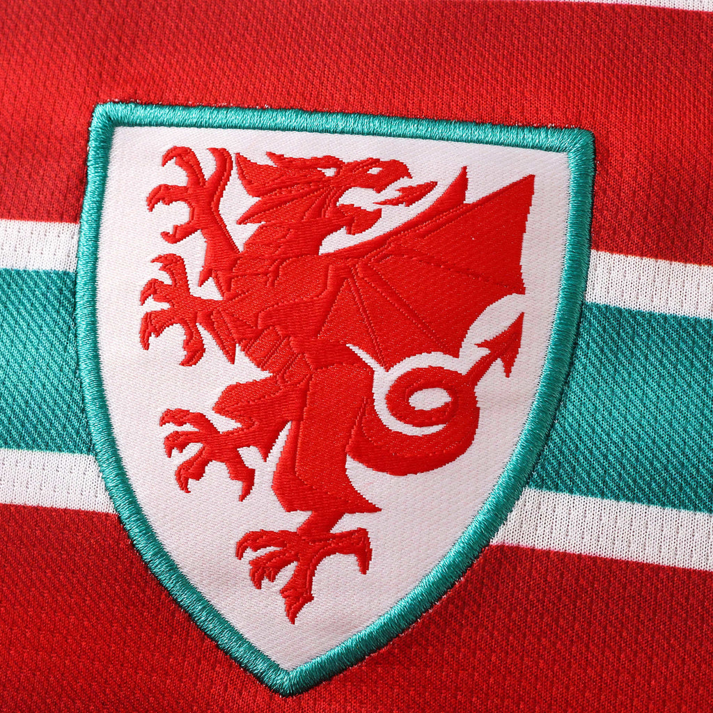 2026 FIFA World Cup Wales home