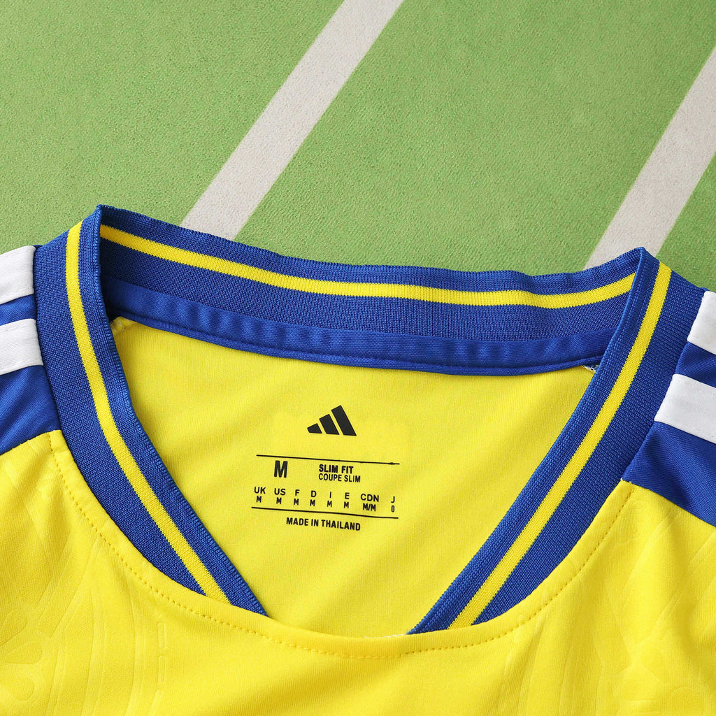 2026 FIFA World Cup Sweden home