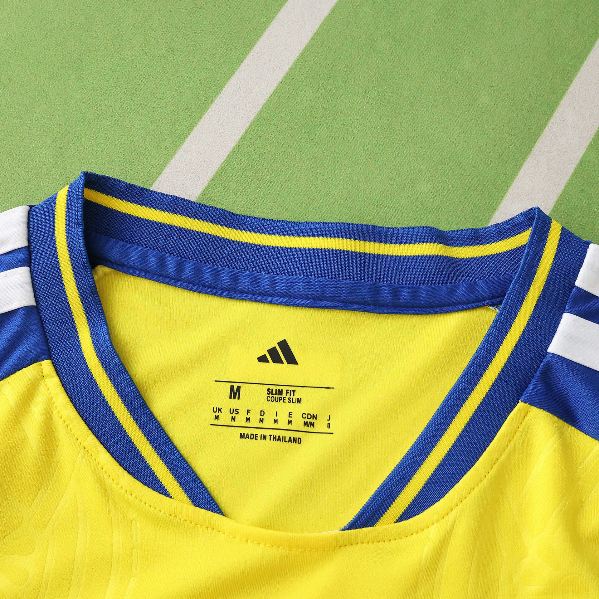2026 FIFA World Cup Sweden home