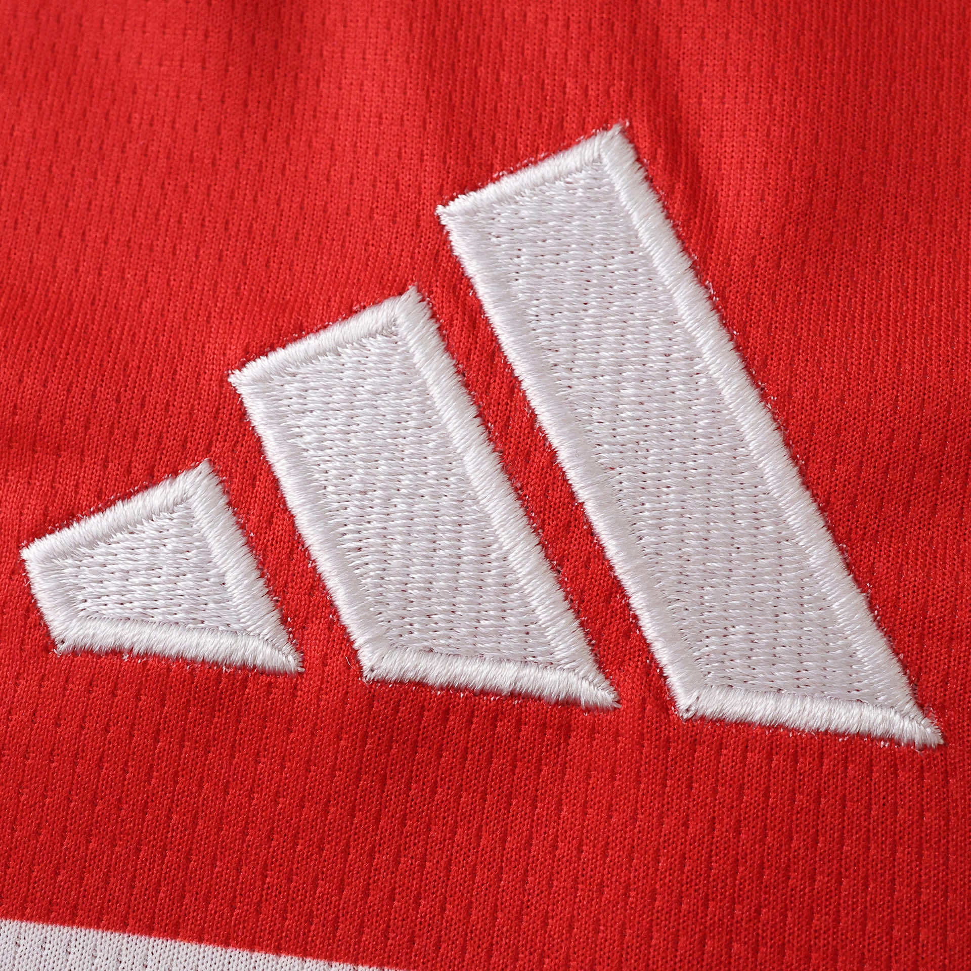 2026 FIFA World Cup Wales home