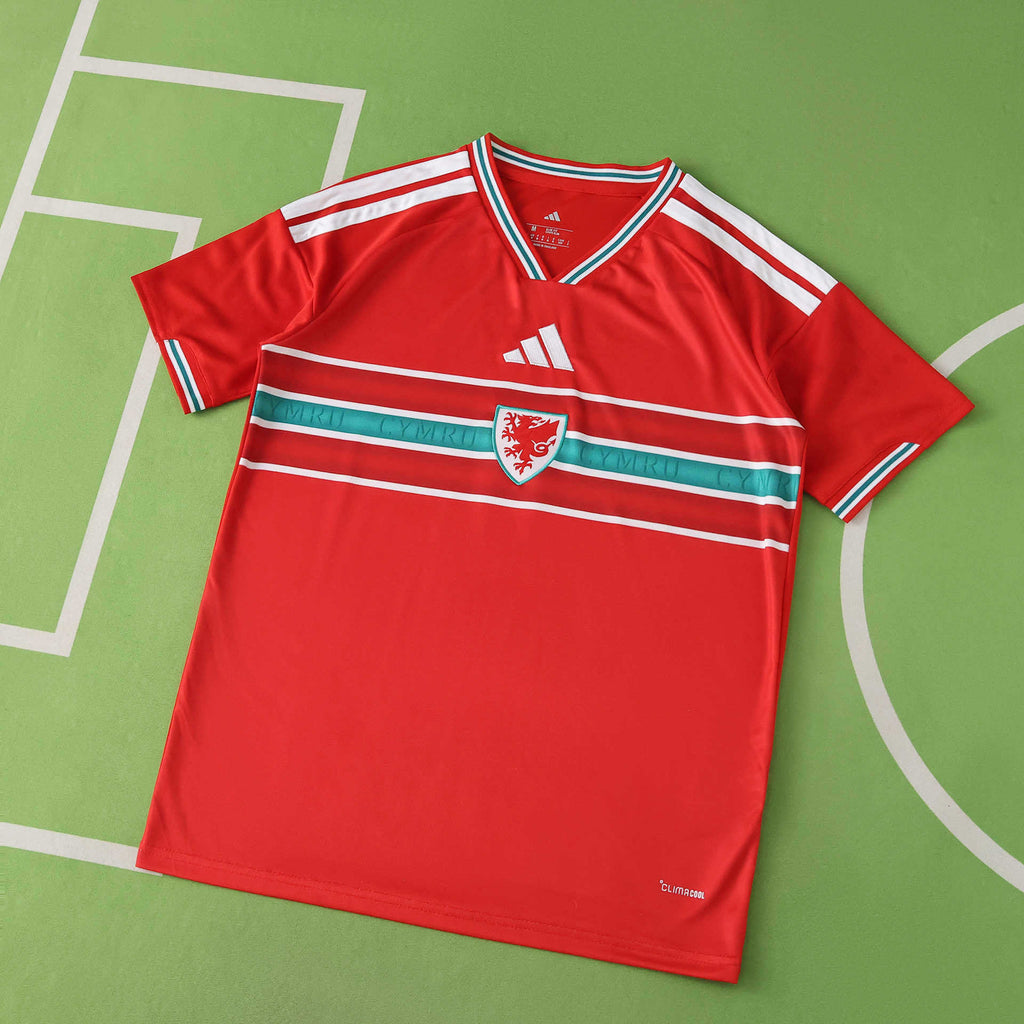 2026 FIFA World Cup Wales home